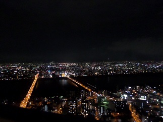 Osaka from Umeda Sky Building